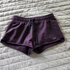 TLF purple shorts size Small